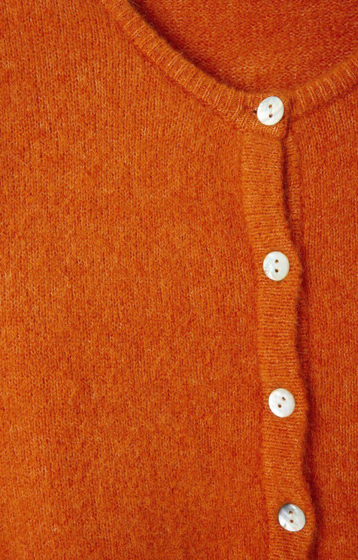 American Vintage Vito button up cardigan sweater brick orange alpaca wool PIPE AND ROW